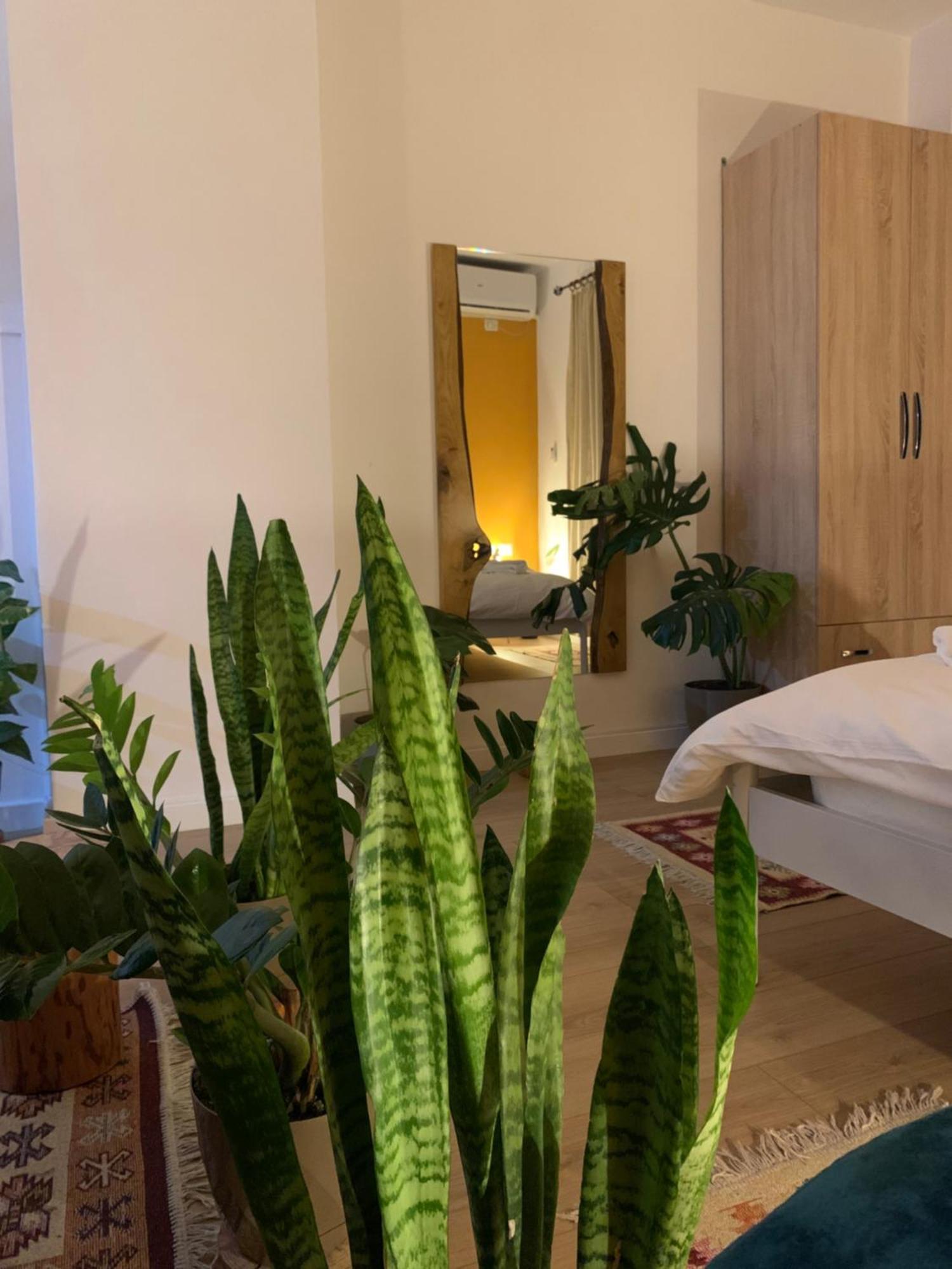 טיראנה Vibe Studio Apartment מראה חיצוני תמונה